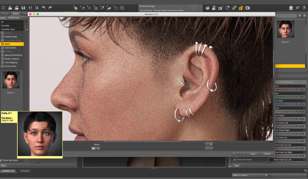 Catty 8.1, the first non-binary working digital asset, by IoDF